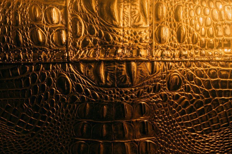 Defining Qualities of Crocodile and Alligator Skin