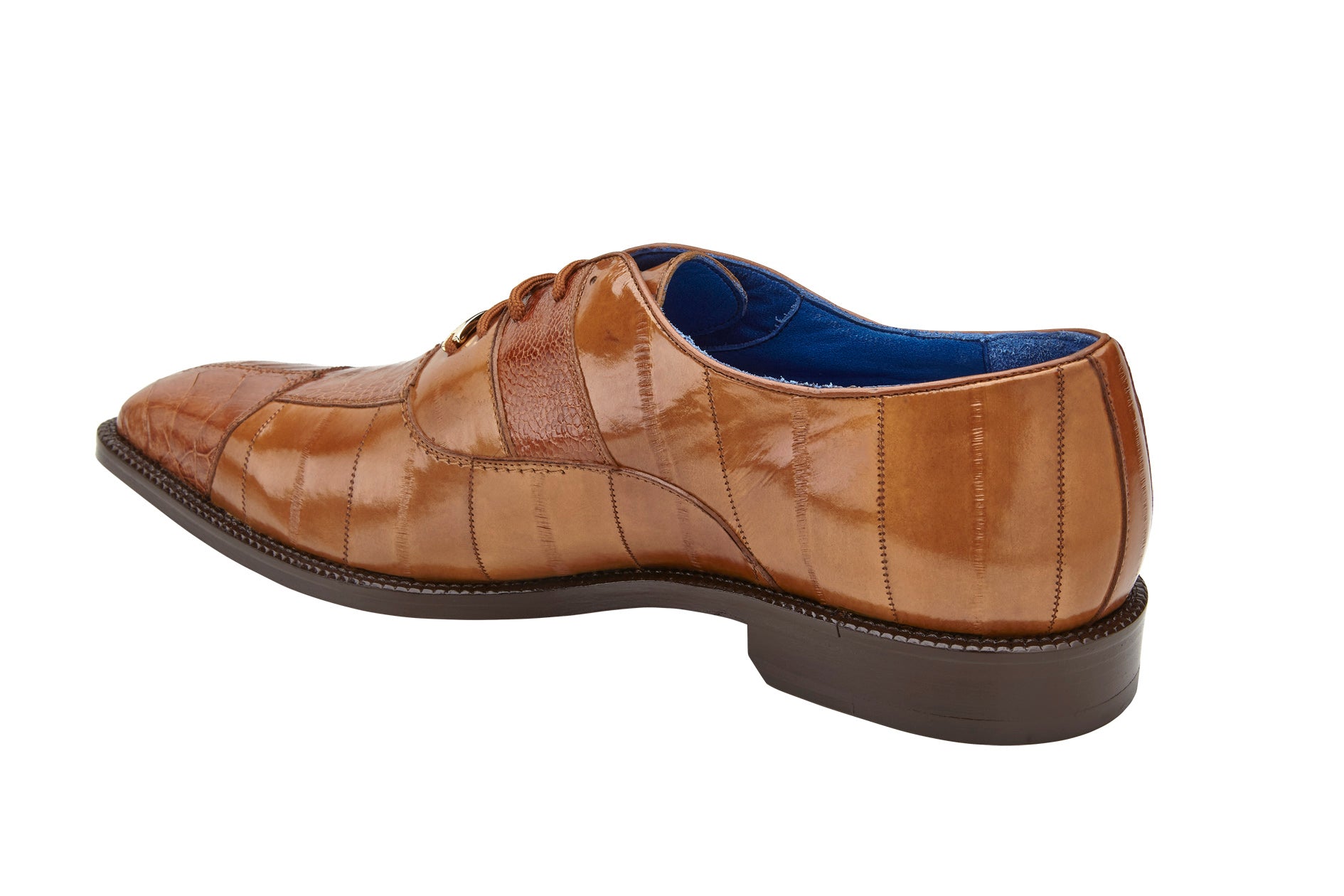 Alligatorworld shoes deals
